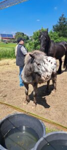 Hof Rosarot 20240608_134304