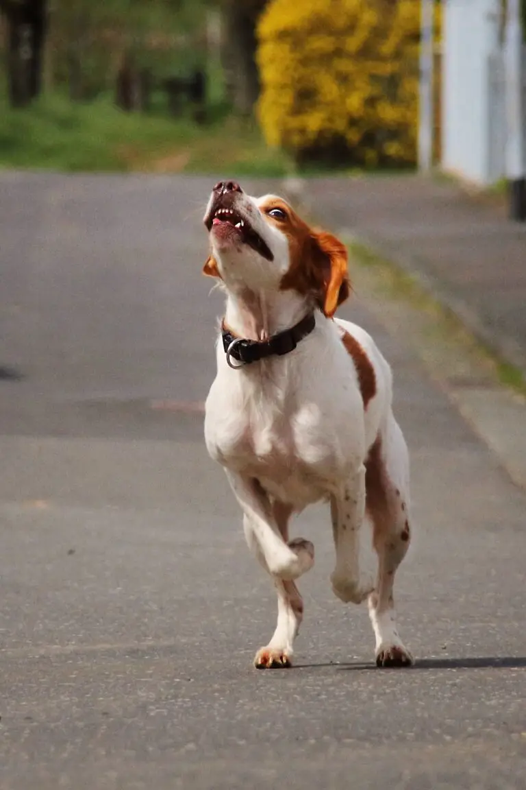 Glückspilze img 5614e min