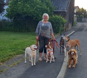 Hof Rosarot WhatsApp Image 2025-11-17 at 15.10.41 (1)