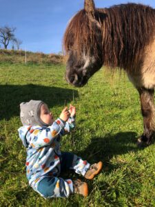 Pflegestellen WhatsApp Image 2025-11-17 at 15.10.44 (1)