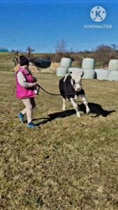 Pflegestellen WhatsApp Image 2025-11-17 at 15.10.44 (3)