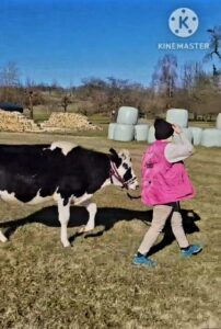 Pflegestellen WhatsApp Image 2025-11-17 at 15.10.44 (4)