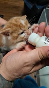 Pflegestellen WhatsApp Image 2025-11-17 at 15.10.45 (4)